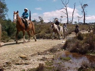  passeggiate a cavallo La Breole